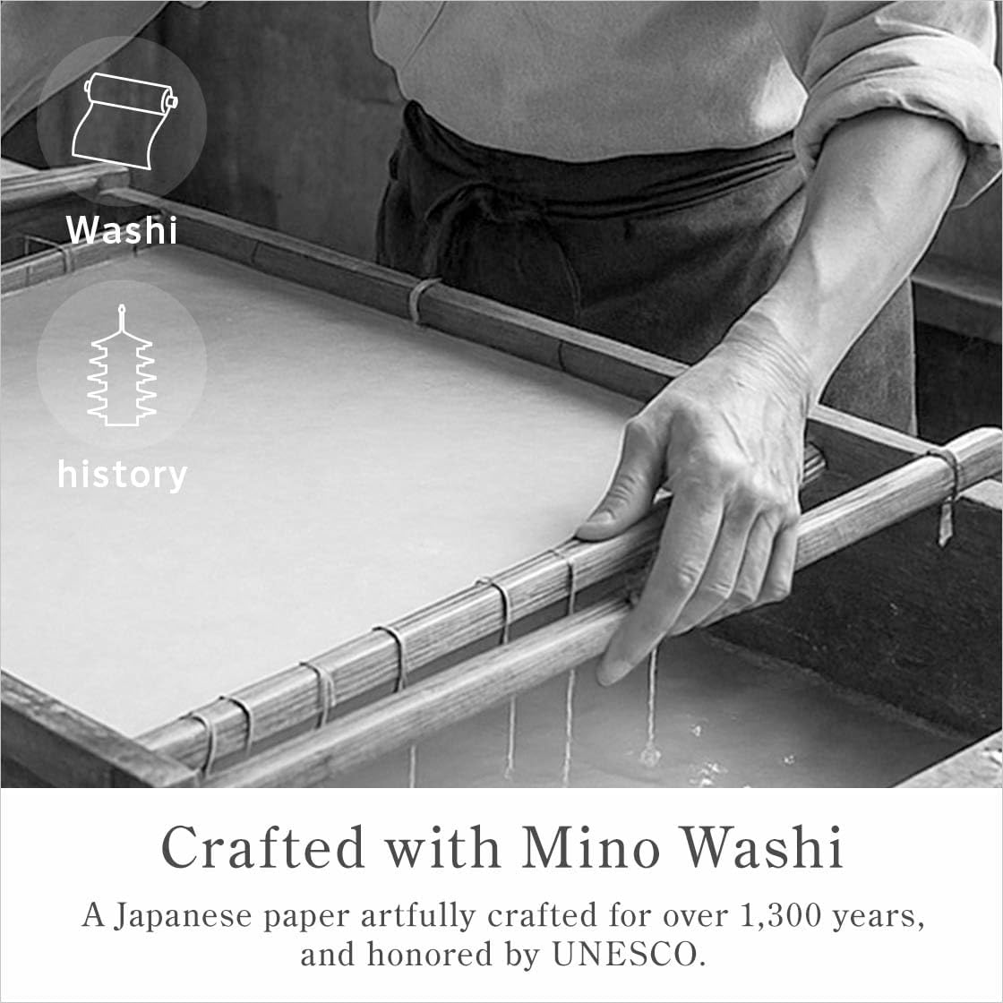 Oil Blotting Paper 100 Sheets, Pack of 1 – Premium Green Tea Face Blotting Sheets, Oil Absorbing Tissues in Japanese Washi, Easy-Dispense Pack, Made in Japan, Oily Skin Care & Makeup Essential